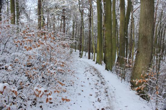 Wypożyczalnia rowerów